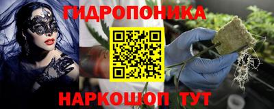 ГАЛЛЮЦИНОГЕННЫЕ ГРИБЫ Малгобек