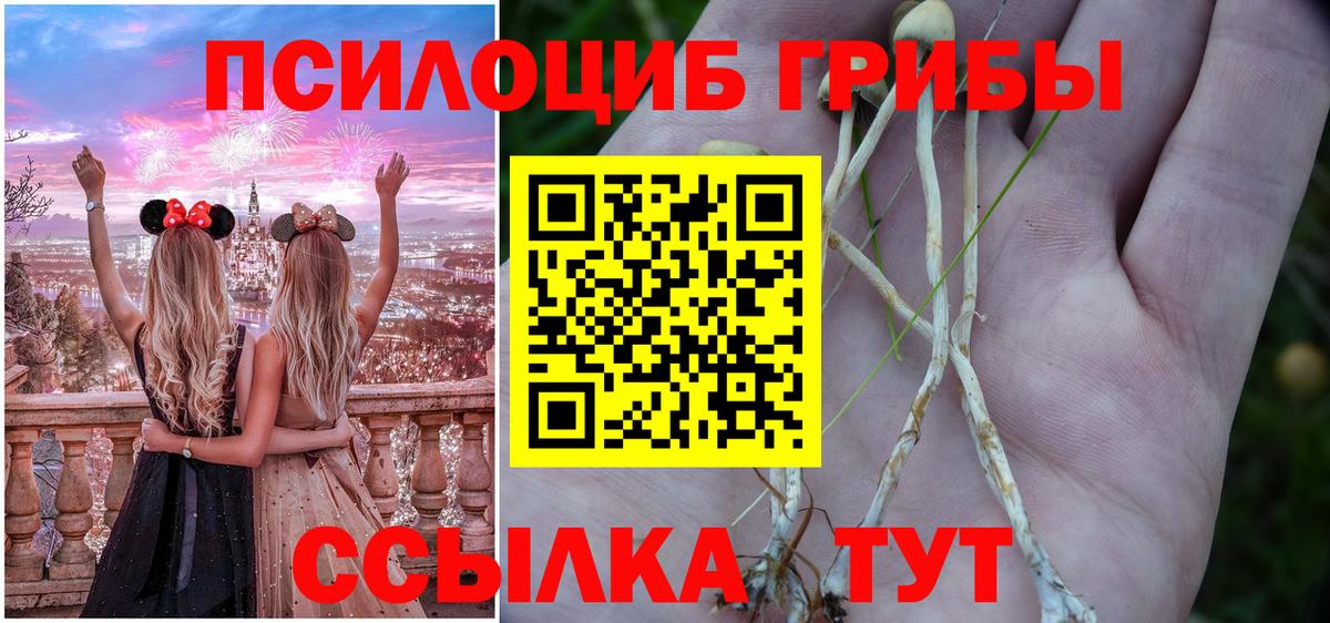 Галлюциногенные грибы мицелий Урус-Мартан
