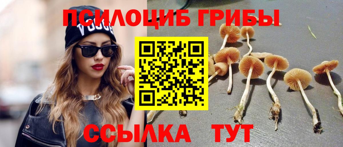 Урус-Мартан  Галлюциногенные грибы Cubensis  Вход с VPN 